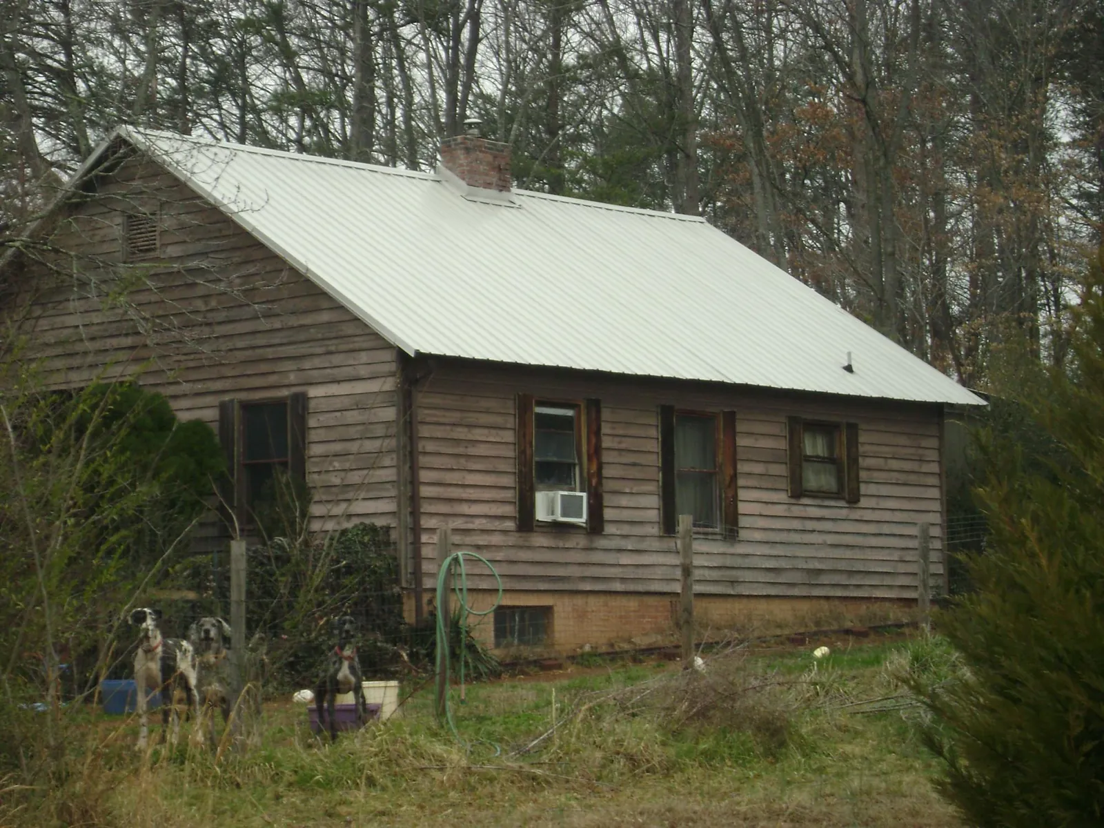 White metal roof on an old wood sided farmhouse, from a Asphalt Shingle Roof Repair job in Ardara